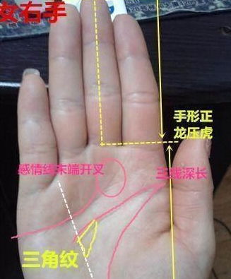 （二）手掌柔软坚硬度及其对财富有来源的暗示
