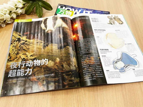 四、创新性命名的探索：激发想象力与好奇心