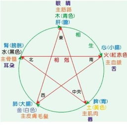 四、 文化与环境适应策略