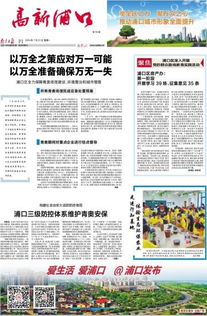 一、 方法论概述：复合句式与名词化处理在学术写作中的应用