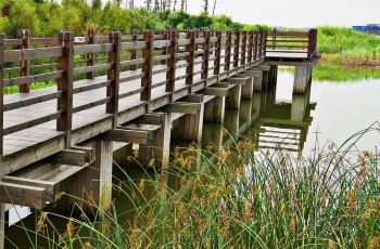 吴淞湿地公园省钱攻略？笑死！根本省不了钱！