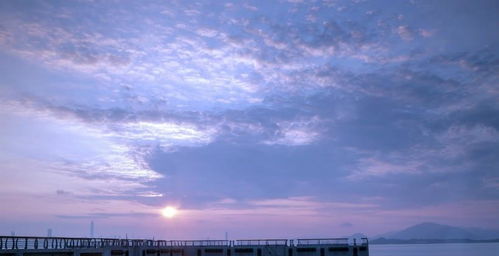 悠然自得打一生肖，这个生肖是哪一个呢？