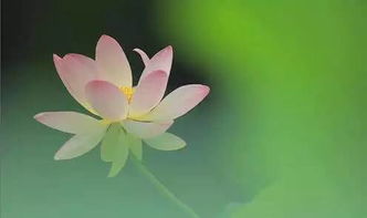 钱和知识有个毛关系