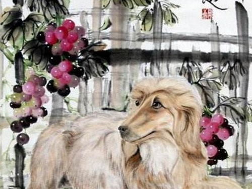 属狗人一生中哪三位贵人对其影响最大？