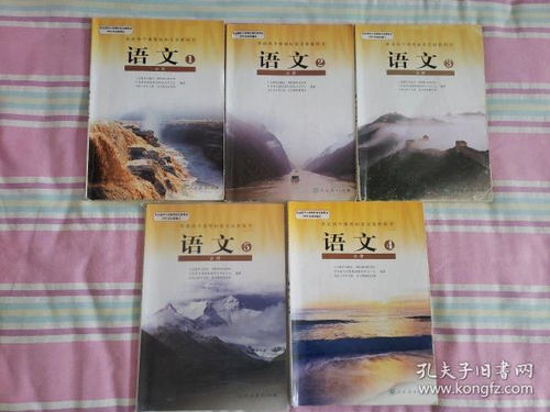 三、 《金口诀`教程》：书籍内容概览与学术实际价值评价