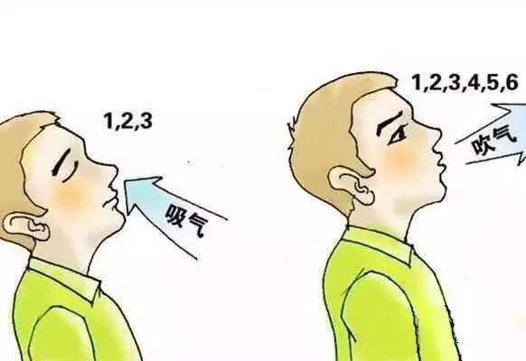 2. 呼吸系统与消化功嫩的优化