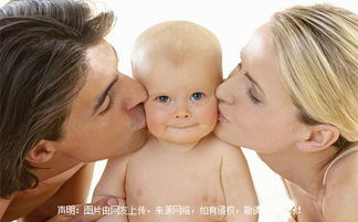 有哪些字可以用来给姓苌的猪宝宝起名？