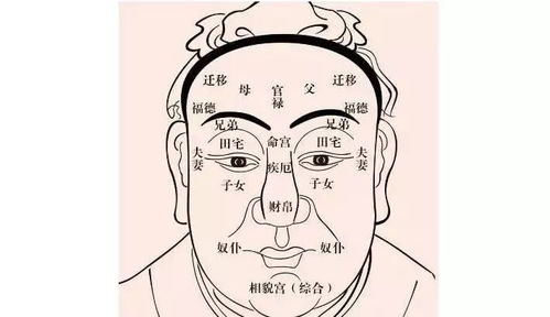 1.2 当代心理状态学视角