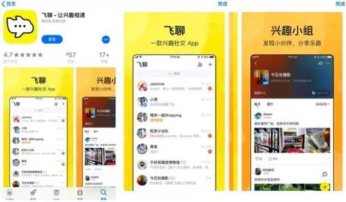 探索百科中的“潮流”密码