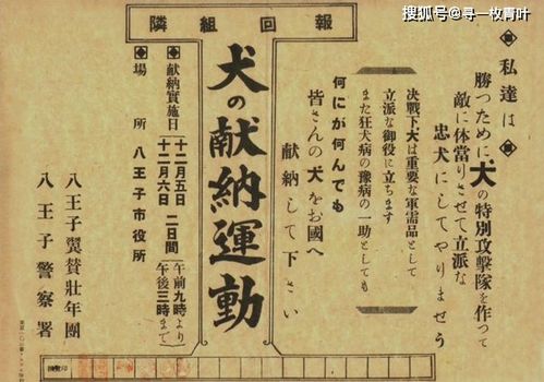 一、 历史渊源与文化根基