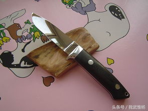 将砍瓜切菜打一生肖，是哪个生肖？