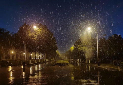 二、 不同人群梦见下雪的特殊含义
