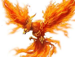 历史渊源与文化背景