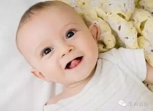 7、 属猴的小孩起名宜用 子 、 辰 己 的字Zuo乳名(乳名彳艮重要!)