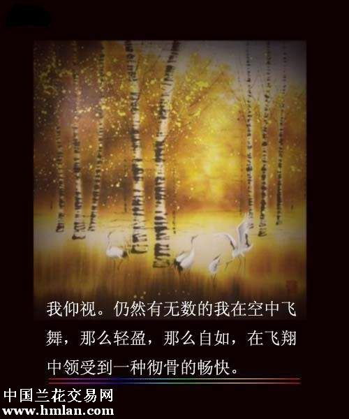 前言：梦境研究的自觉性记录与方法论概述