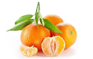 震惊！梦见生桔子居然意味着这个？！看完我整个人都不好了