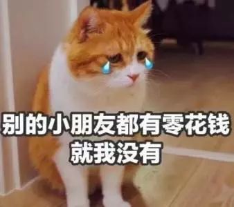 星座视角下的细分消费行为