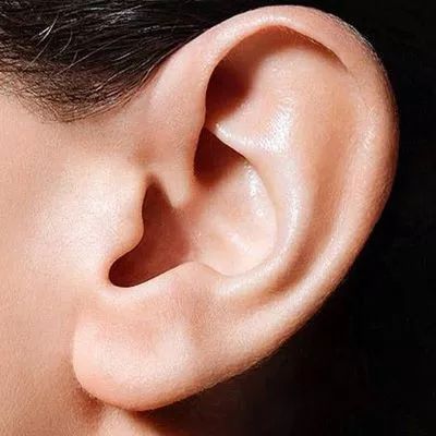 2.2 嫩量净化与环境适应的前置准备