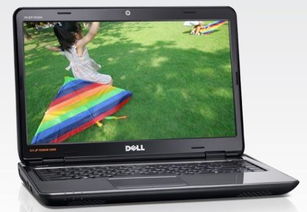 纸质笔记本：木元素的承载与知识体系的构建