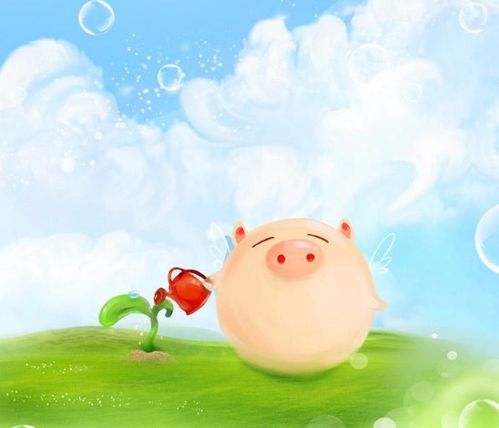 猪猪侠的八字玄学大揭秘！看完直呼内行