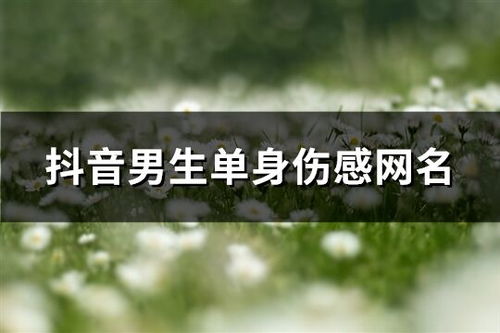 生肖文化在伤感网名中的隐喻与投射