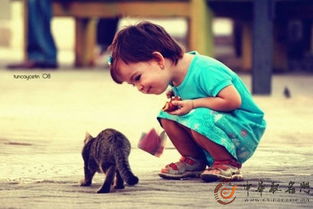 一些其他的好听的名字（继续瞎编）