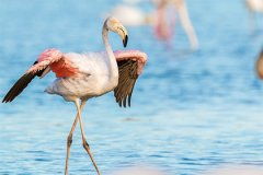 2022年12月23日吉凶评估：择日宜忌之辨