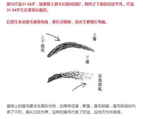 四、 现代科学视角下的批判性反思