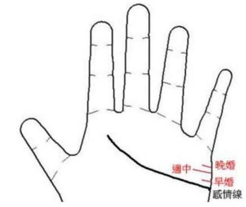 二、 影响婚姻质量的关键手相特征