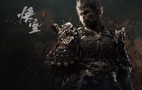 实体特征描述及文字解读