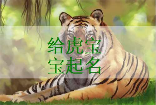 为卢姓蛇宝宝挑选寓意吉祥、 良好听的名字