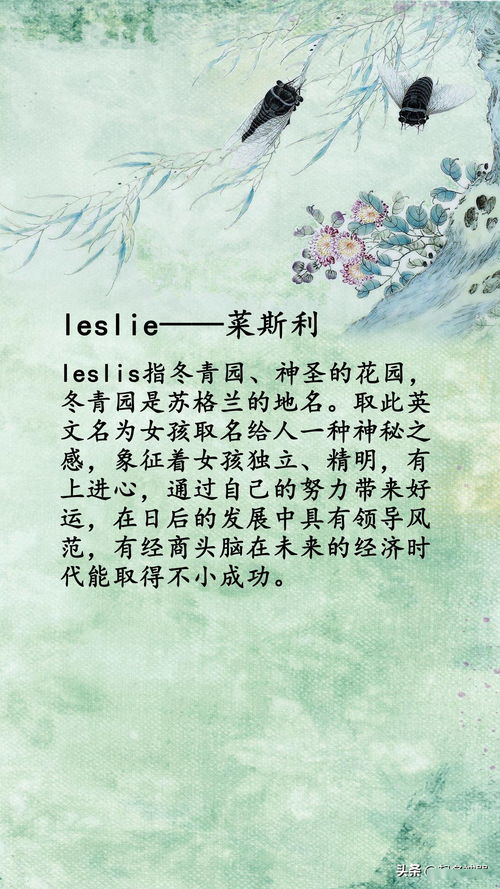 聊聊那些奇怪的误区