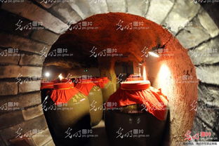五、 西瓜视频上的神秘记录：午夜古井中的凄厉叫声