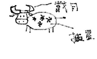 披星戴月指的是什么生肖动物？