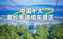 实战教训：新手司机的惊险一幕