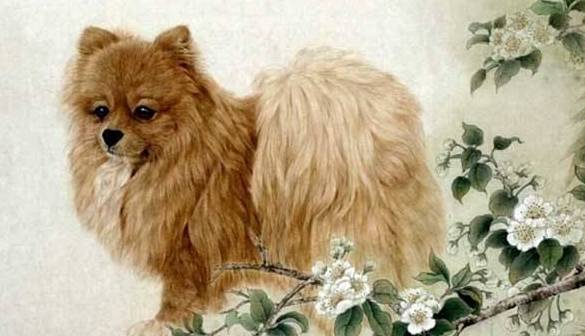 1970年属狗人2026年运势如何？全年运势详解是什么？