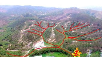 茂名高州的风水真的非chang出名吗？有没有人了解具体情况？