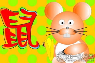 45年出生的人属什么生肖，他们的属相是什么意思？