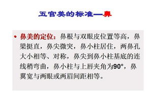五、  美学与符号学视角的延伸：从车灯设计到文学评价