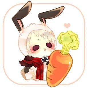 生肖意象：传统文化中的情感寄托