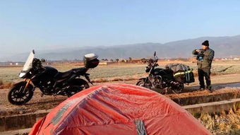 : 别去自讨苦吃了除非你脑子进水