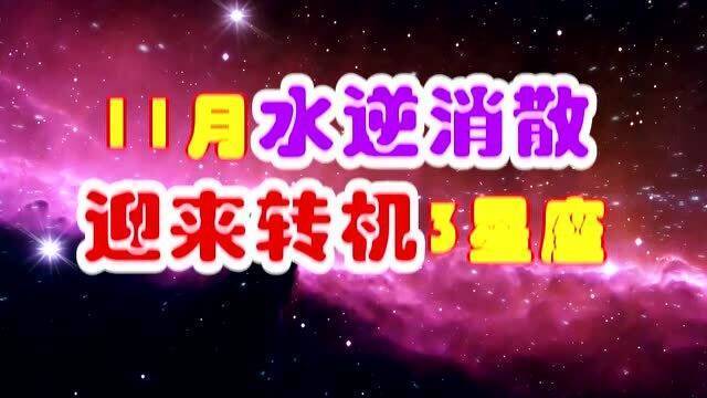 二、 星座视角下的细分运势评估