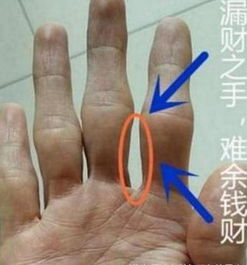 3. 理财纹（财富线）杂乱或浅薄