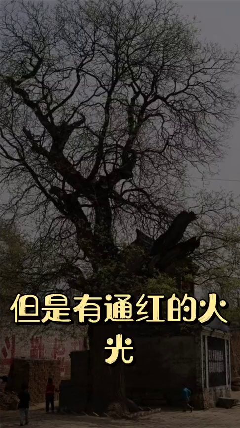 四、 怪谈中的人物角色及其象征意义