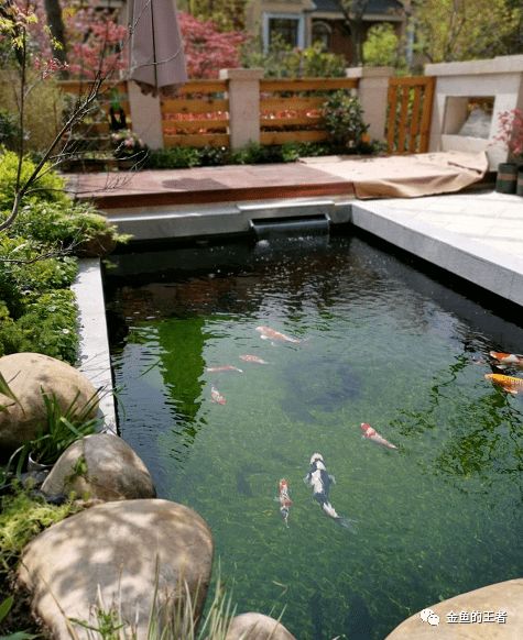 园内建造鱼池，这样的风水布局是否合适呢？