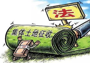实际应用中的注意事项