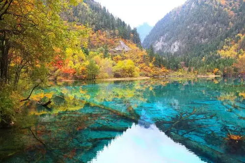 案例分享：摄影爱好者的天堂