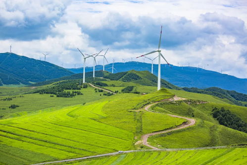 沽源县夏季旅游：一场大型社死现场