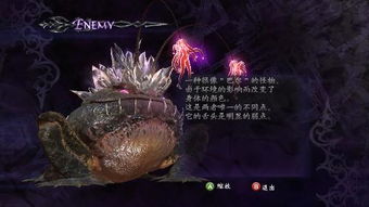 加强青龙位力量：运势提升的关键