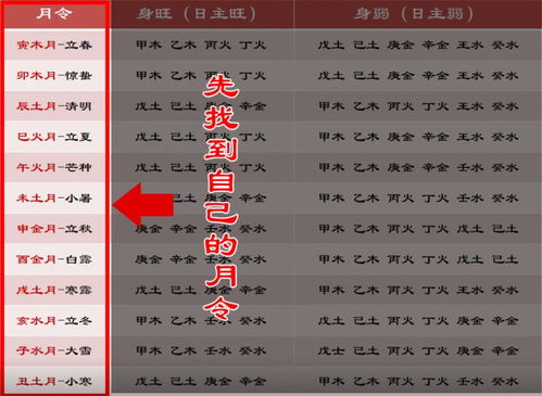 2026年出生的人运势及运程如何，2026年运势及运程排名具体是什么意思？